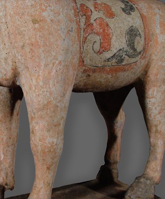 Oriental Terracotta Horse After Treatment. Detail.