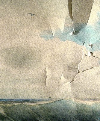 Massachussetts Coast before treatment