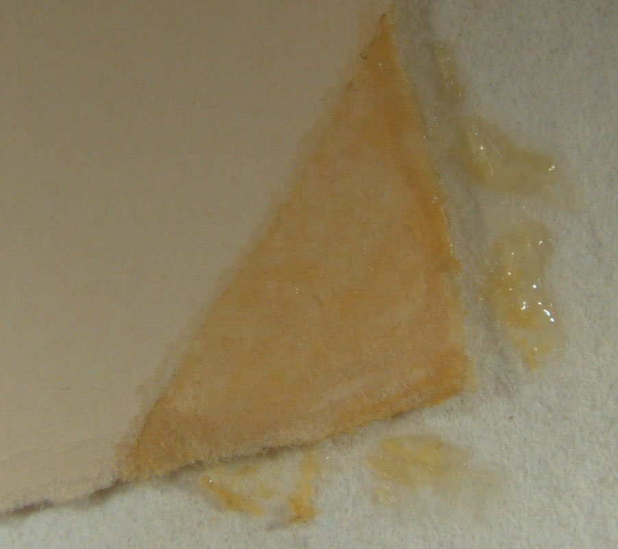 Paper Conservation - Tape Stain Removal