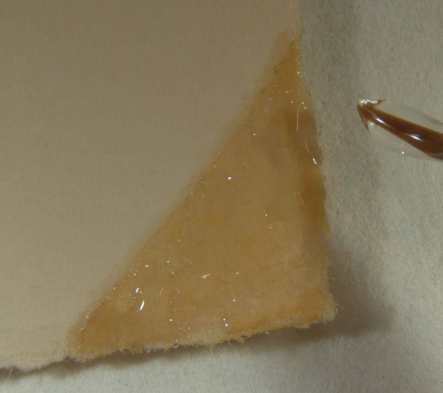 Paper Conservation - Tape Stain Removal