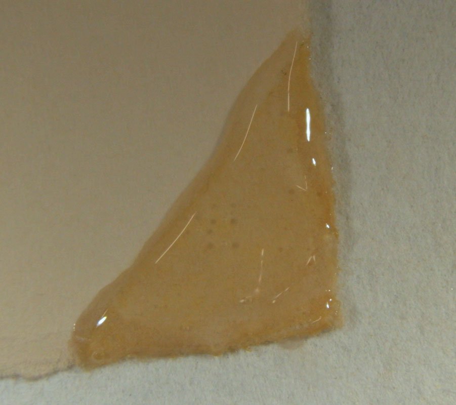 Paper Conservation - Tape Stain Removal