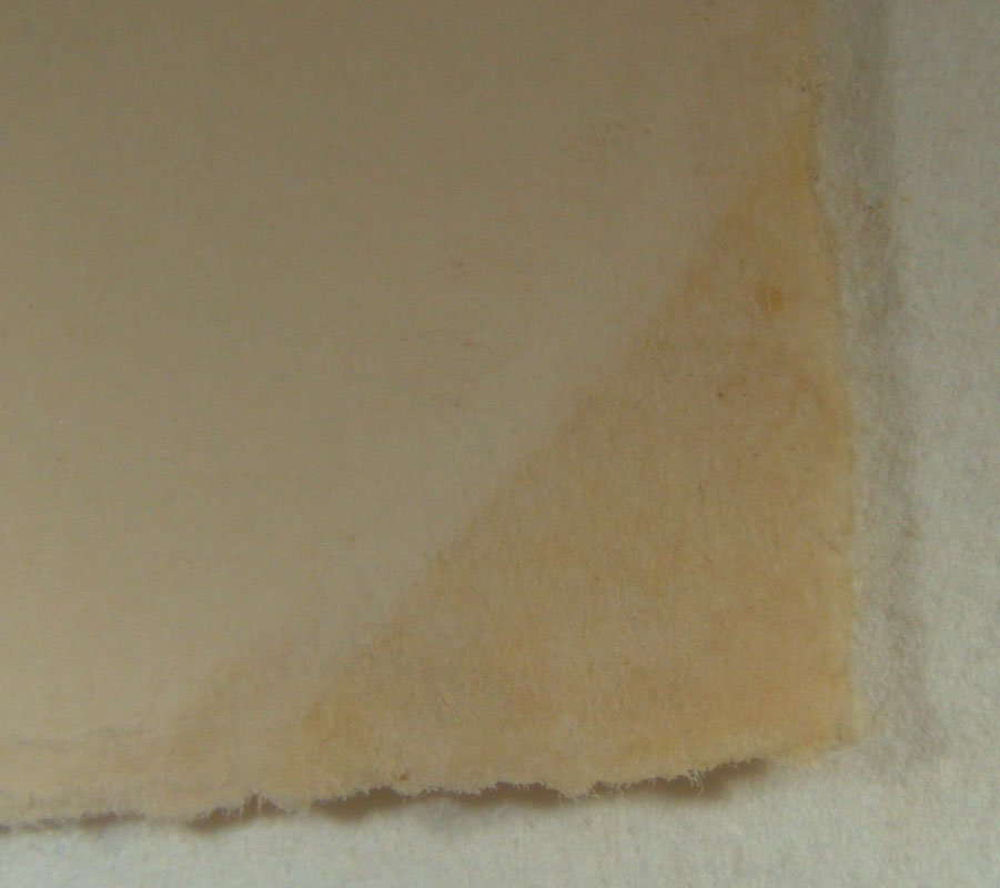 Paper Conservation - Tape Stain Removal