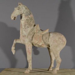 Tang Horses, Chinese Terracotta Pottery