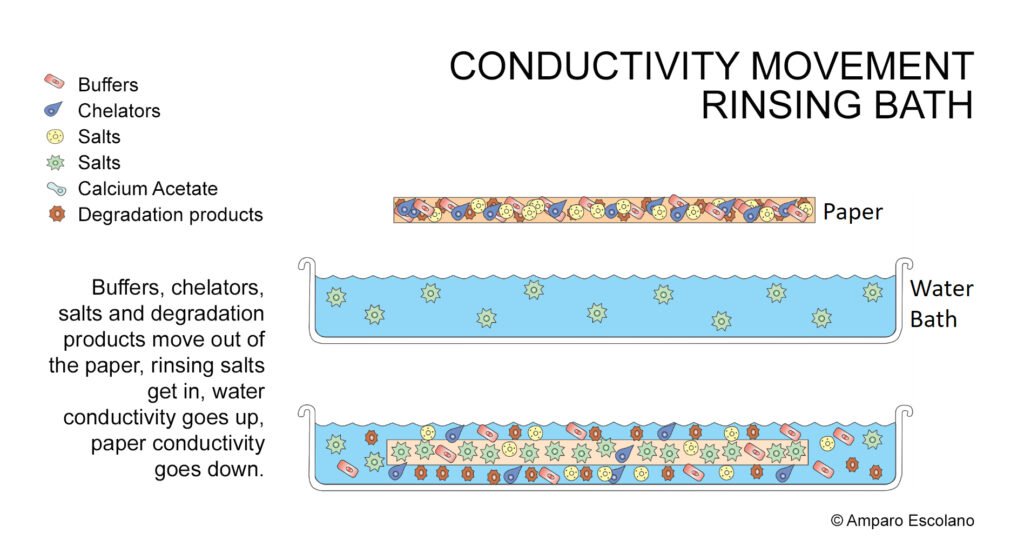 Conductivity changes occuring during the rinsing bath