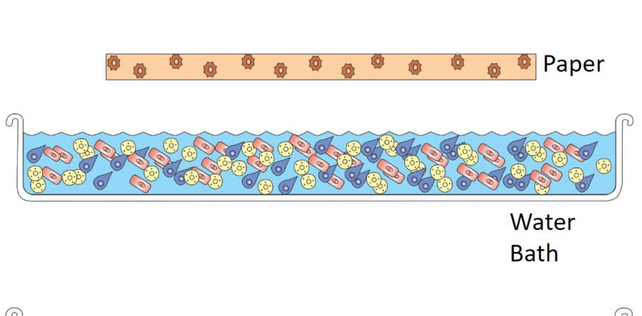 Conductivity: The Unsung Hero of Paper Conservation!