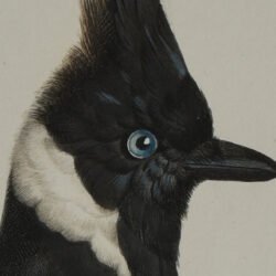 À la Poupée: A Colorful Printing Technique