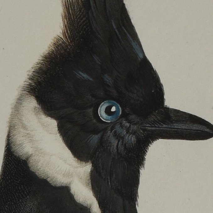 À la Poupée: A Colorful Printing Technique